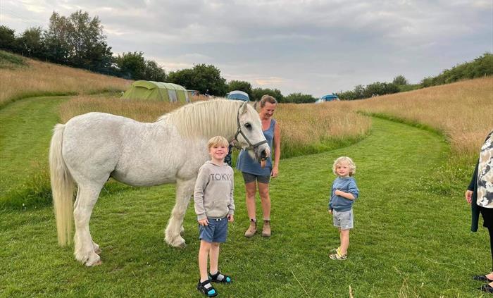 Here is our gorgeous George paying a visit to our campers!